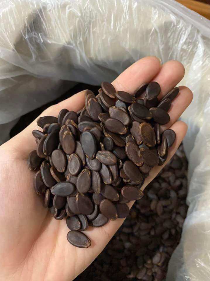 [500G] HẠT DƯA RANG CỦI ( vị Bơ) - Hạt Đen  - TRƯỜNG ĐẠT