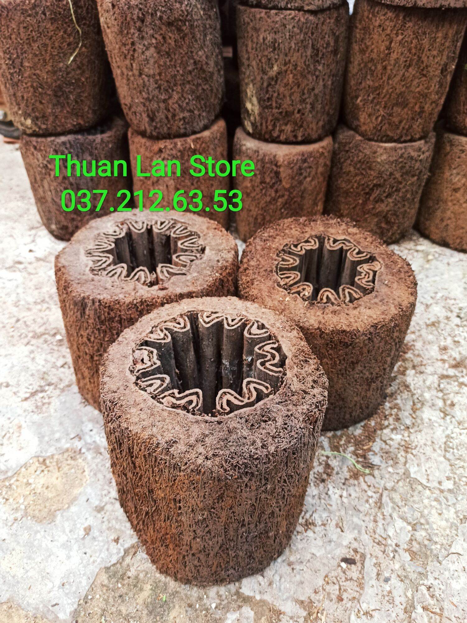 Dớn trụ trồng lan dày đẹp dài 20×20cm