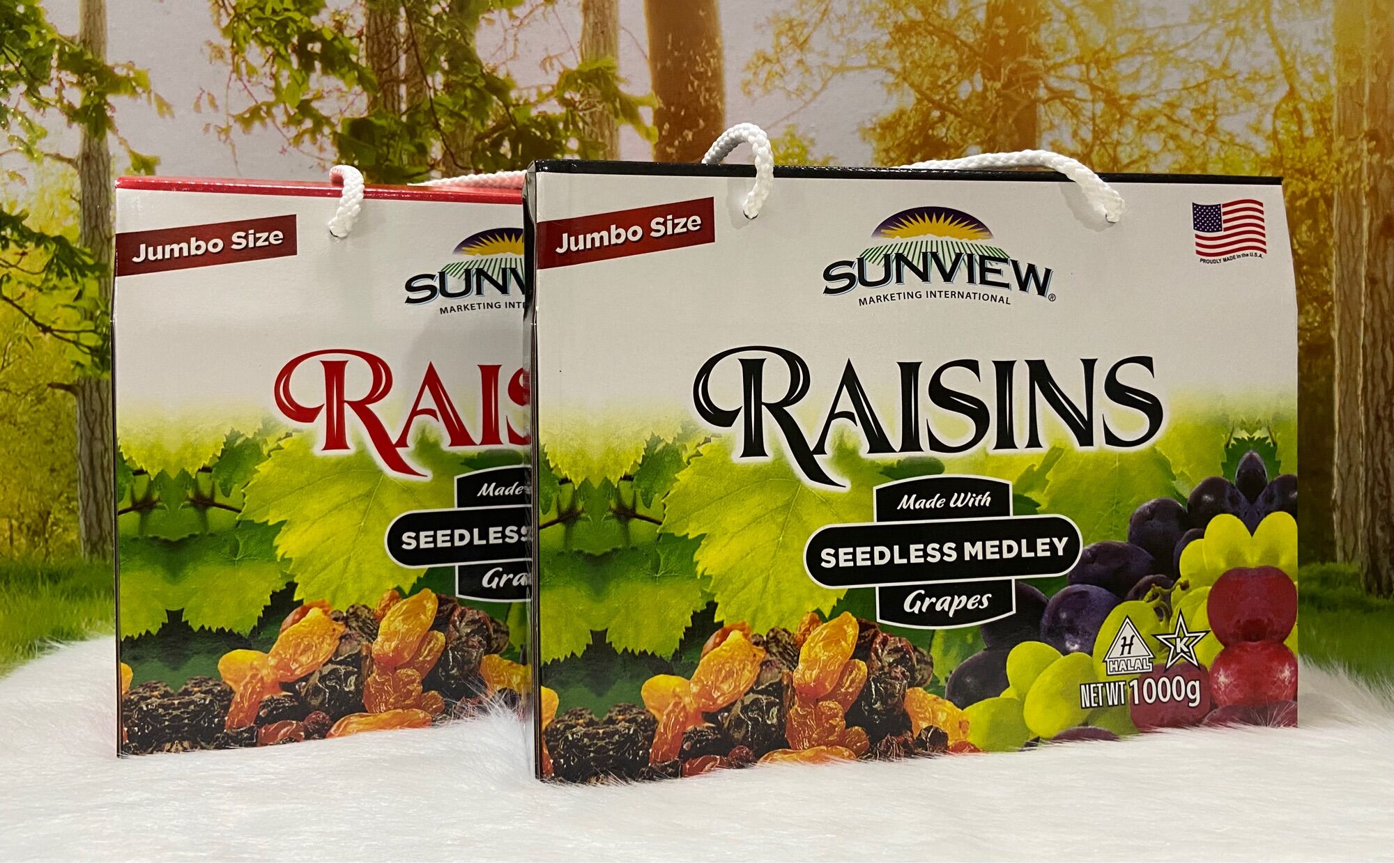 Nho Khô Raisins Hộp 1kg