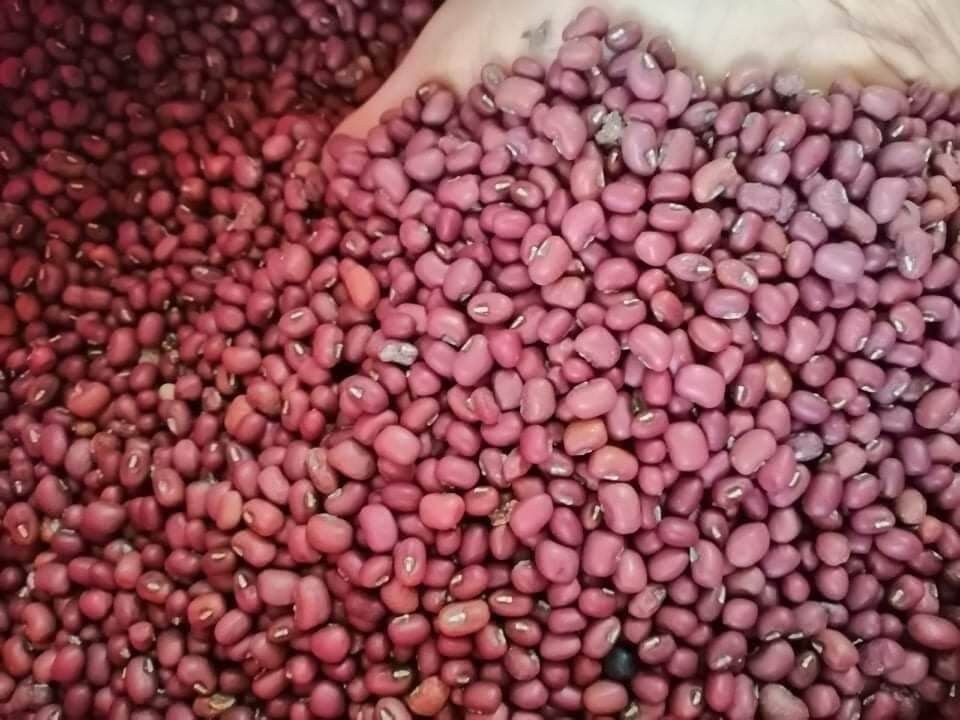 ĐẬU ĐỎ SẠCH ĐĂKLĂK 1kg