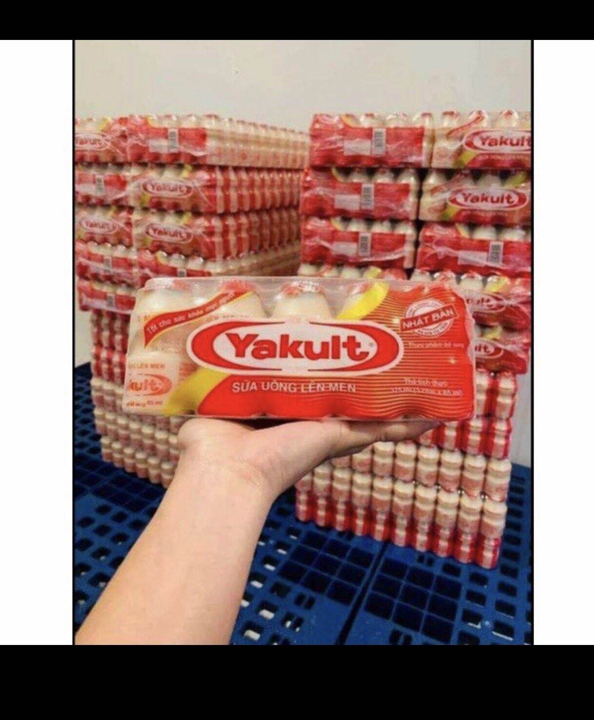 10lốc yakult - sữa uống lên men của nhật