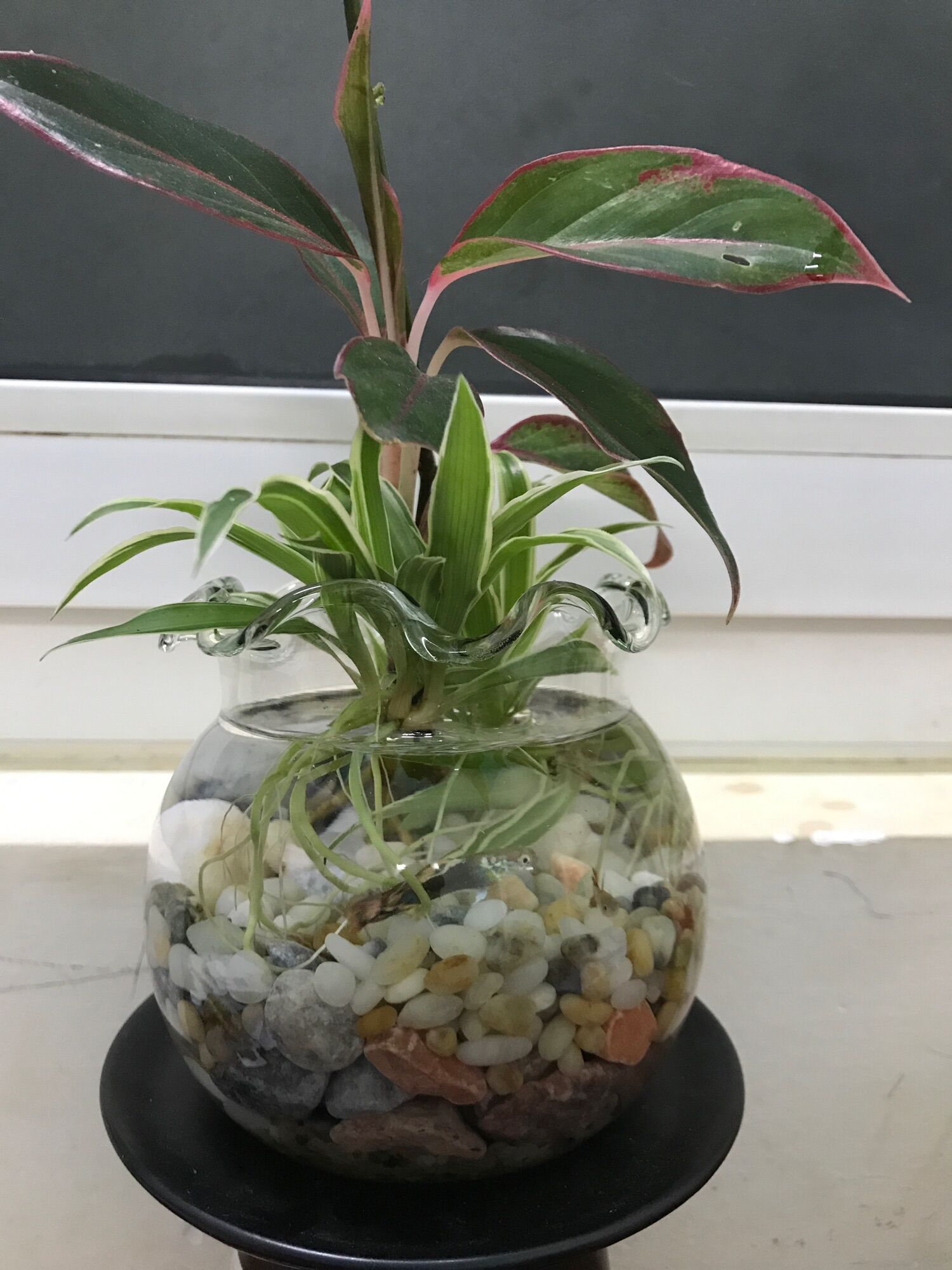 Sỏi màu tự nhiên trang trí (1kg)