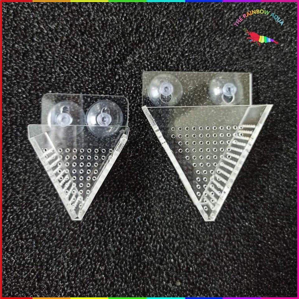 Cốc trồng cây thủy sinh tam giác, cốc trùn chỉ mica trong suốt đẹp