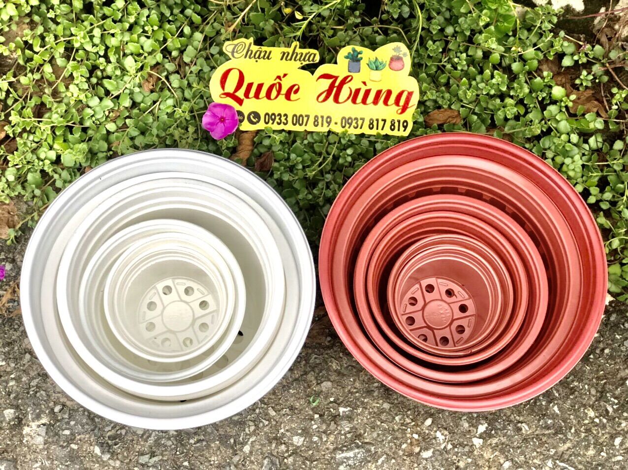 Combo 10 chậu nhựa nâu có vành N26