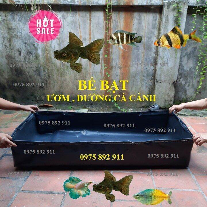 Hồ, bể bạt HDPE ươm cá cảnh guppy và các loại cá khác