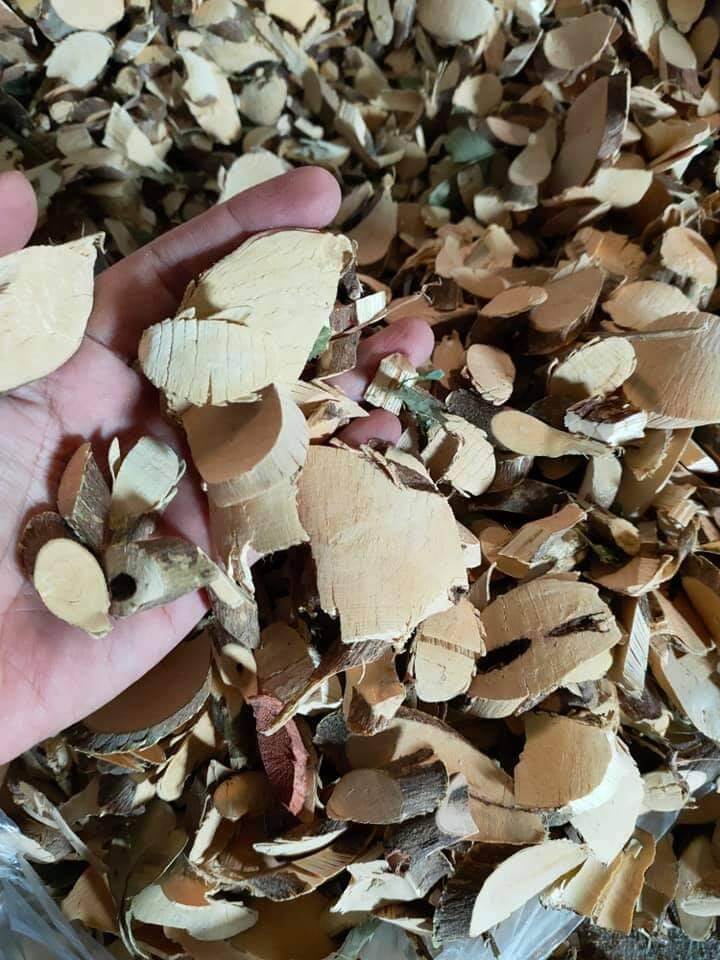 Cây quýt gai khô ( 1kg )