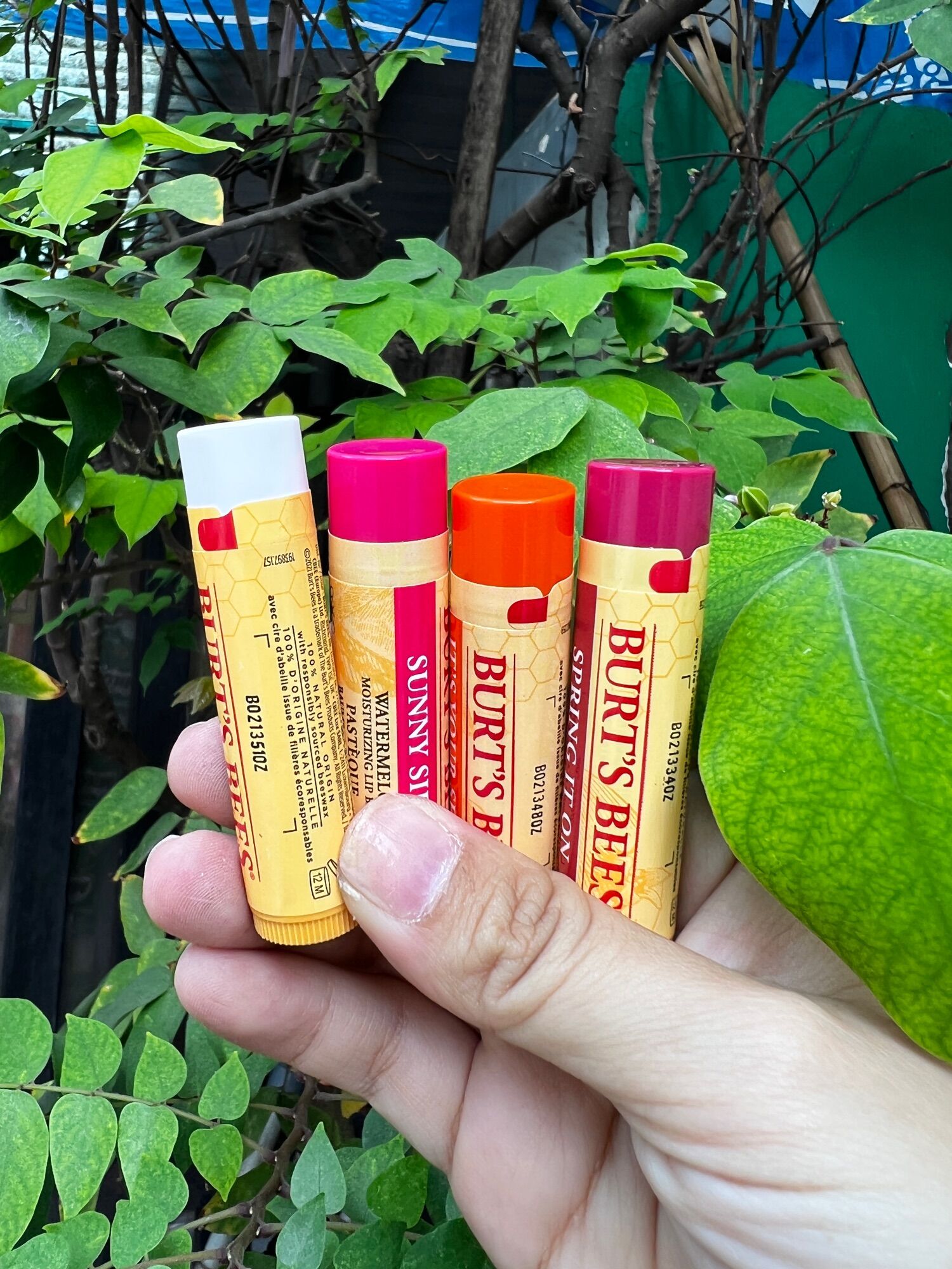 Son dưỡng môi Burt's Bees Natural Lip Balm của Mỹ