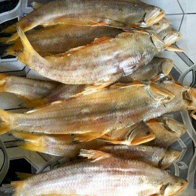 Khô Cá Lẹp 500g