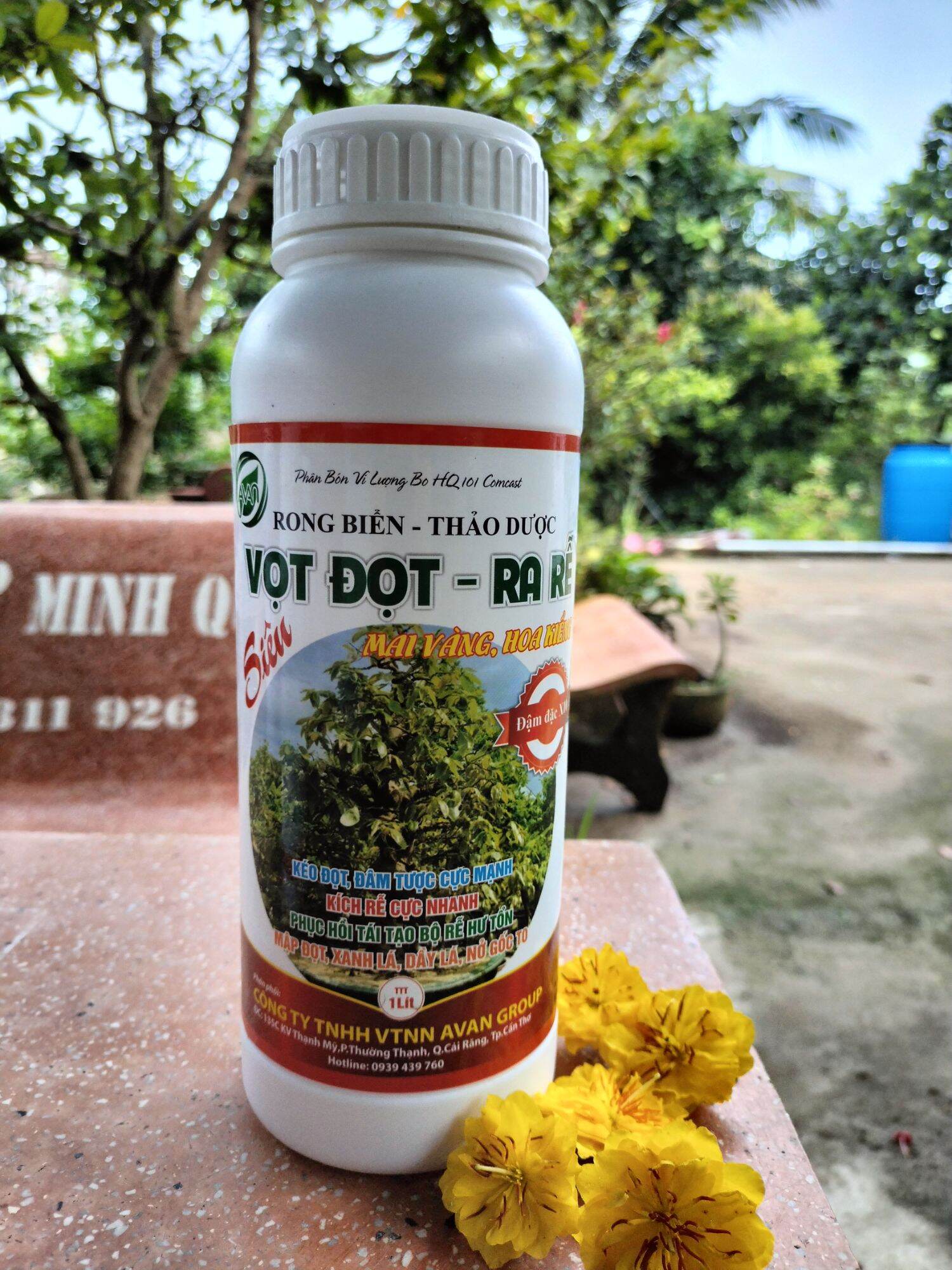 Phân bón lá rong biển thảo dược - vọt đọt ra rễ- kéo đọt đâm chồi cực mạnh, kích thích ra rễ mạnh _ chuyên dùng mai vàng, hoa kiểng , cam chanh, quýt, bưởi, sầu riêng, rau màu,......