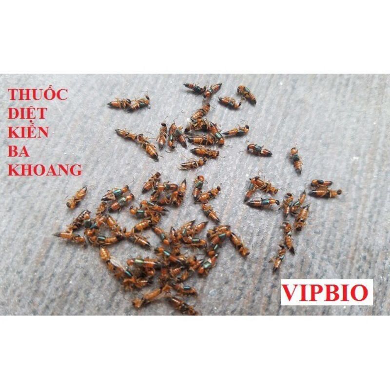 Bả diệt kiến -gián sinh học thế hệ mới diệt sạch tận gốc