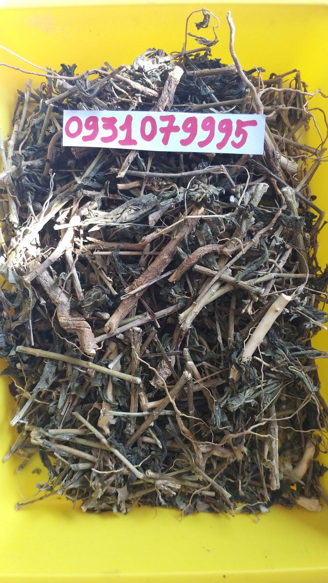 cây rau dừa kiểng - rau dừa cạn phơi khô 1kg