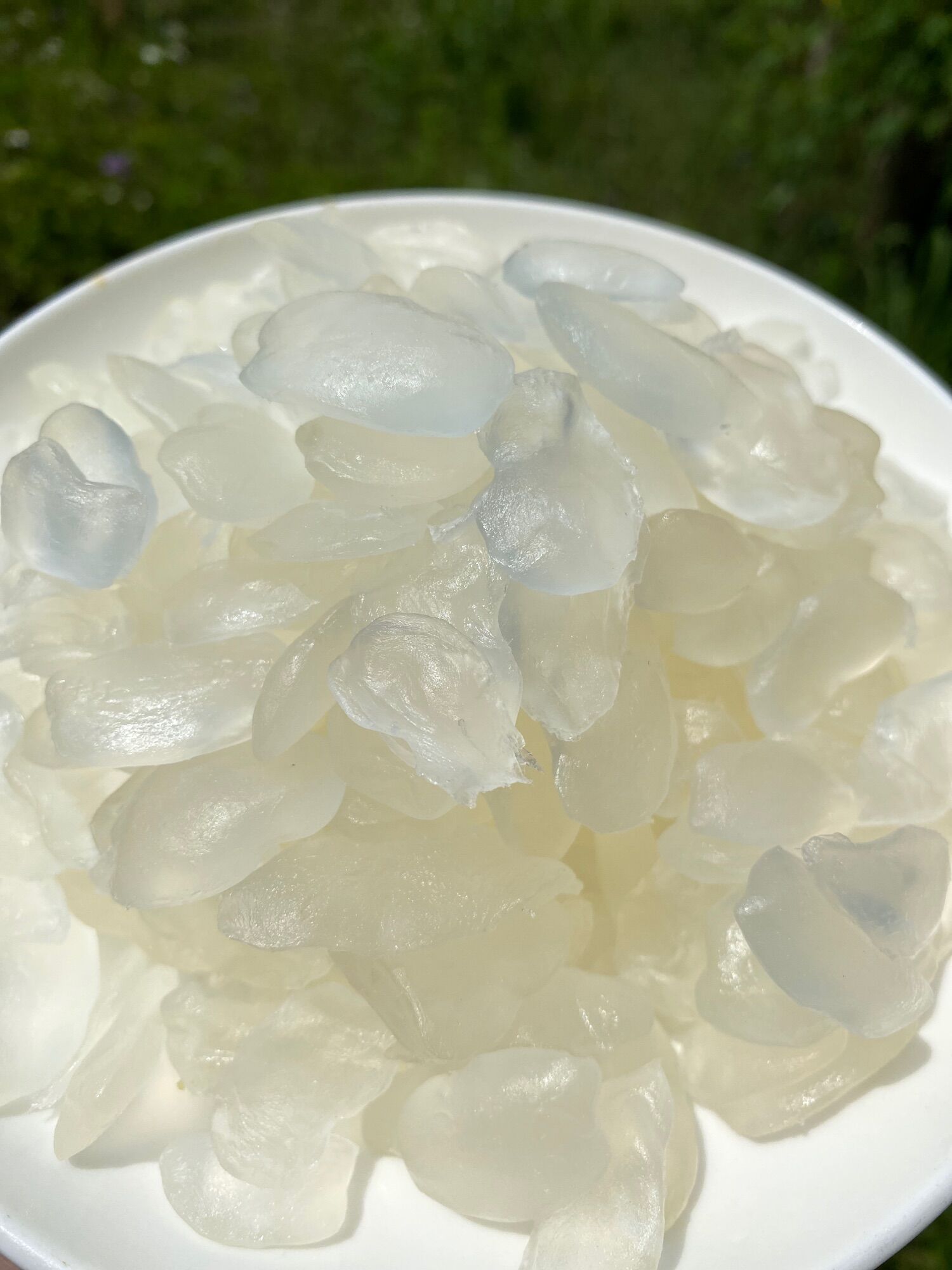 500G Thốt nốt Thái sấy dẻo