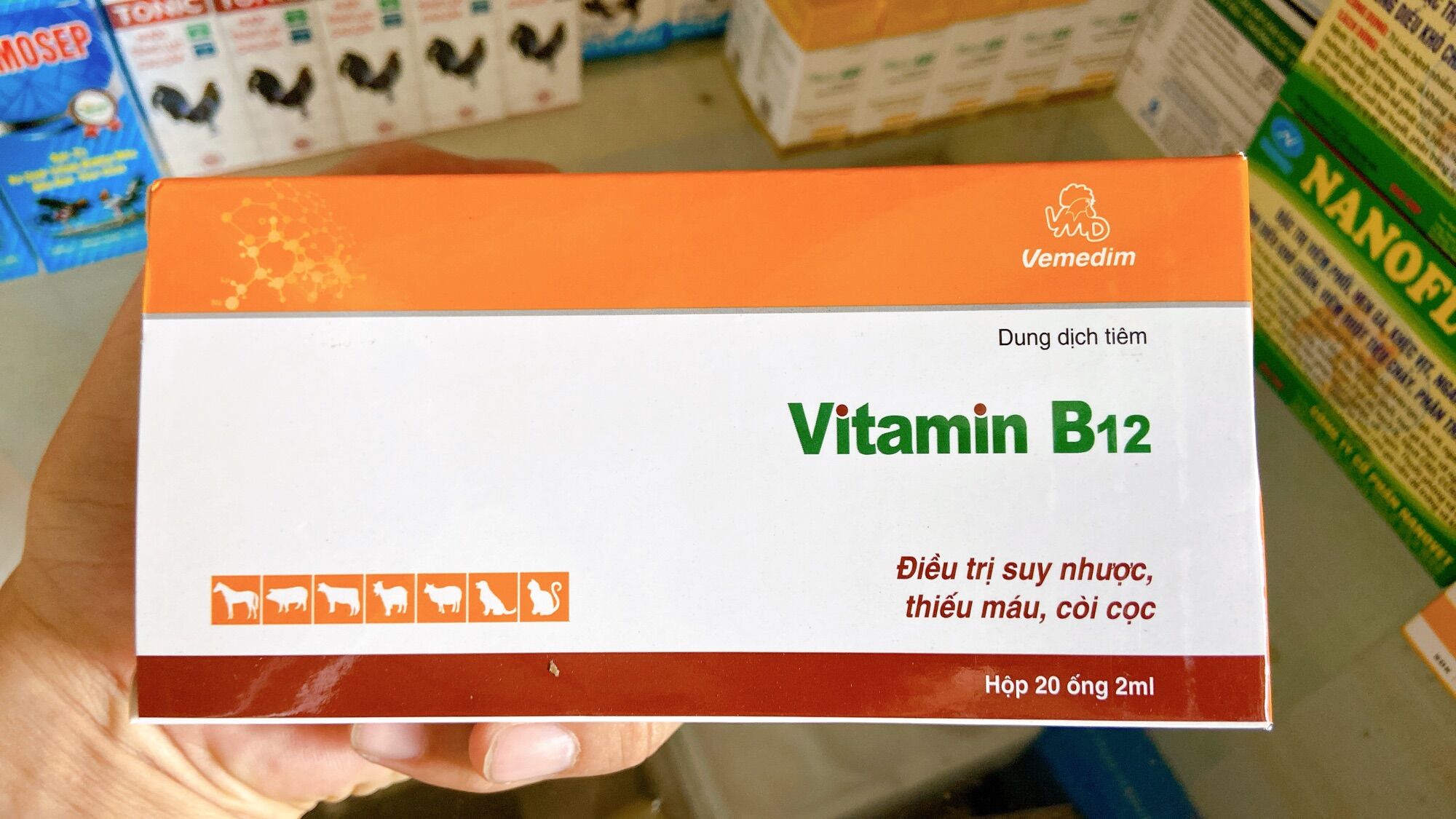 1 Ống Vitamin B12 2ml giúp lên nước máu, sung căng đỏ khỏe gà đá
