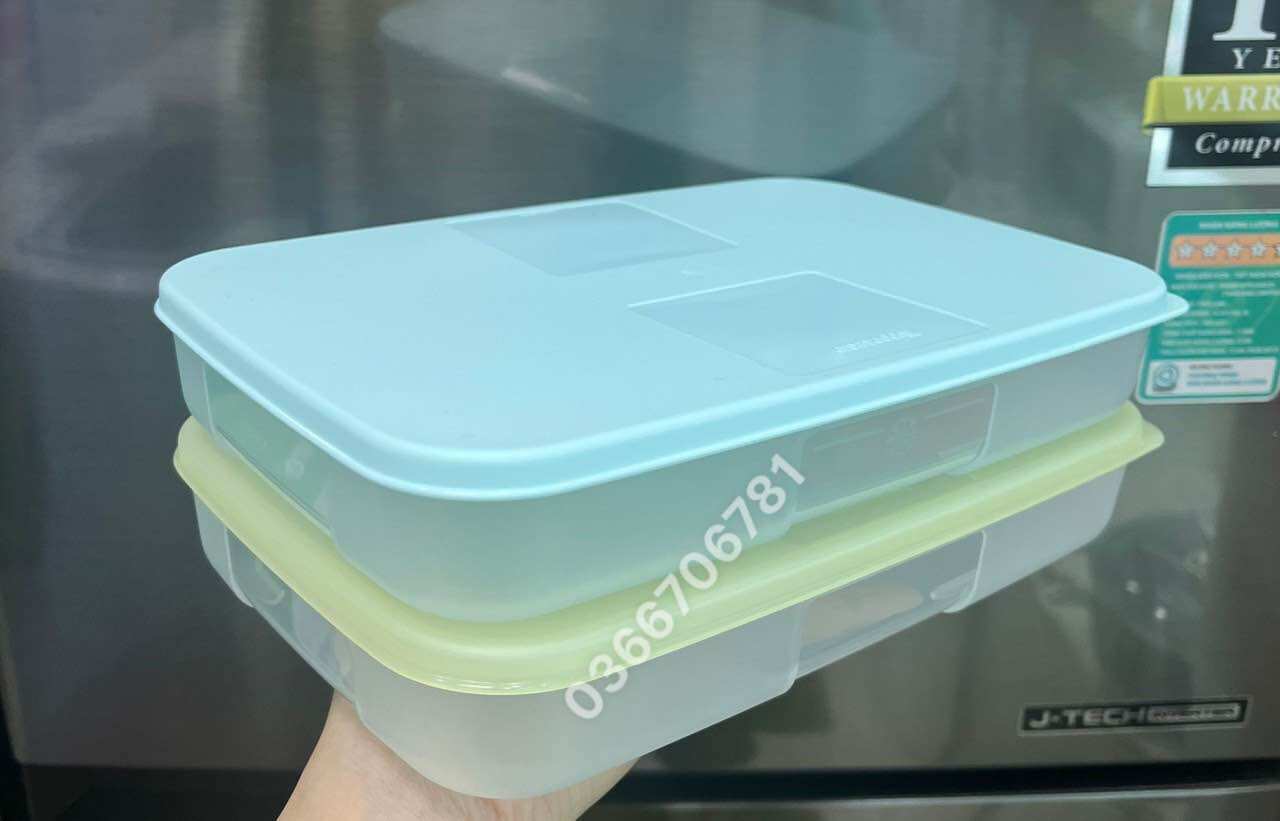 Set 2 hộp đông dẹp 650ml (nắp màu ngẫu nhiên)