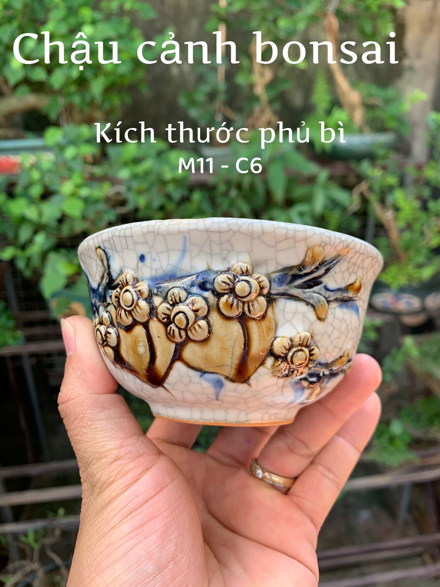 Chậu trồng cây bonsai mini