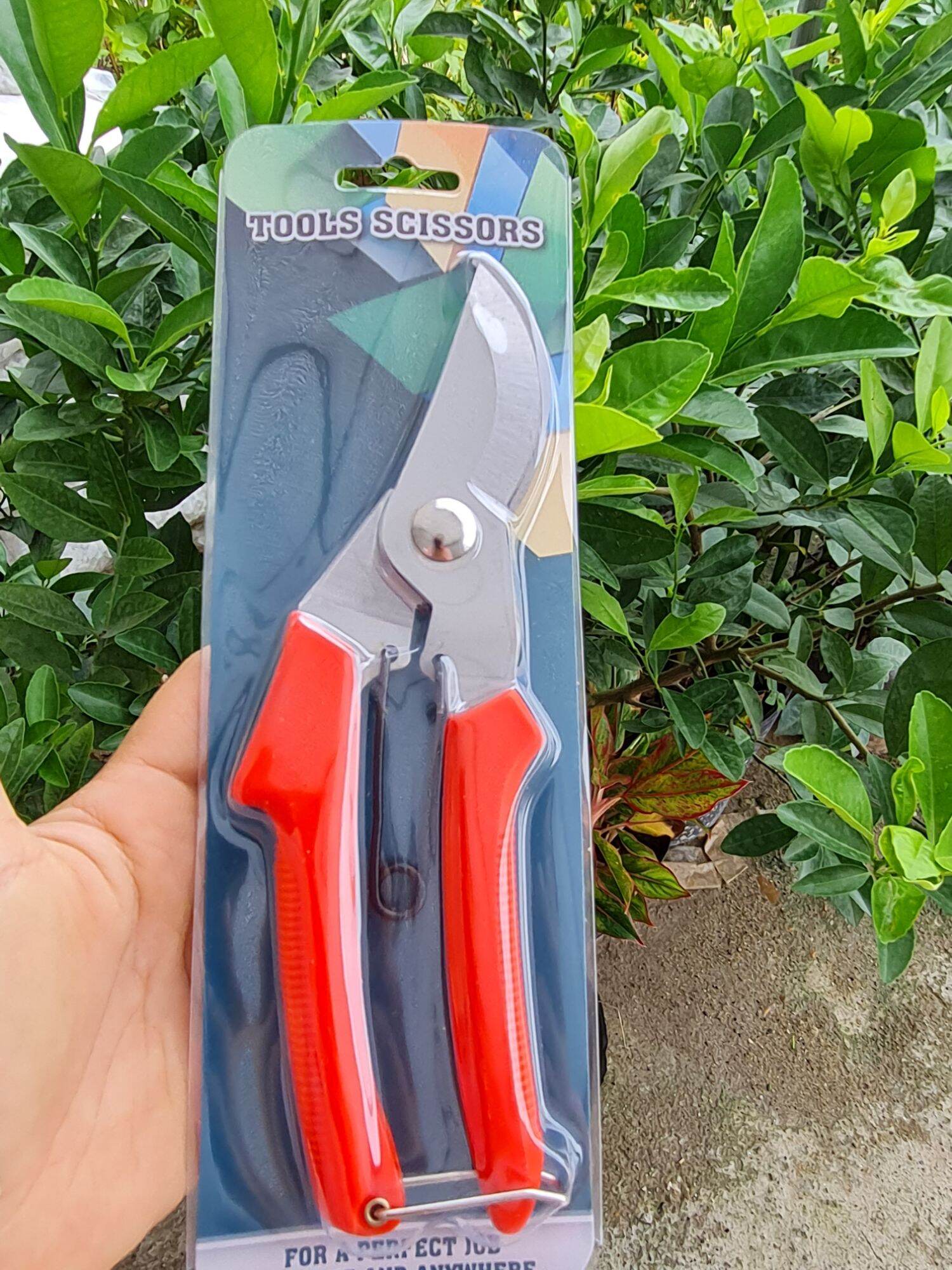 Kéo tỉa cây SK-1, Kéo cộng lực cắt cành, Kìm bấm tỉa cây bon sai mỏ cong