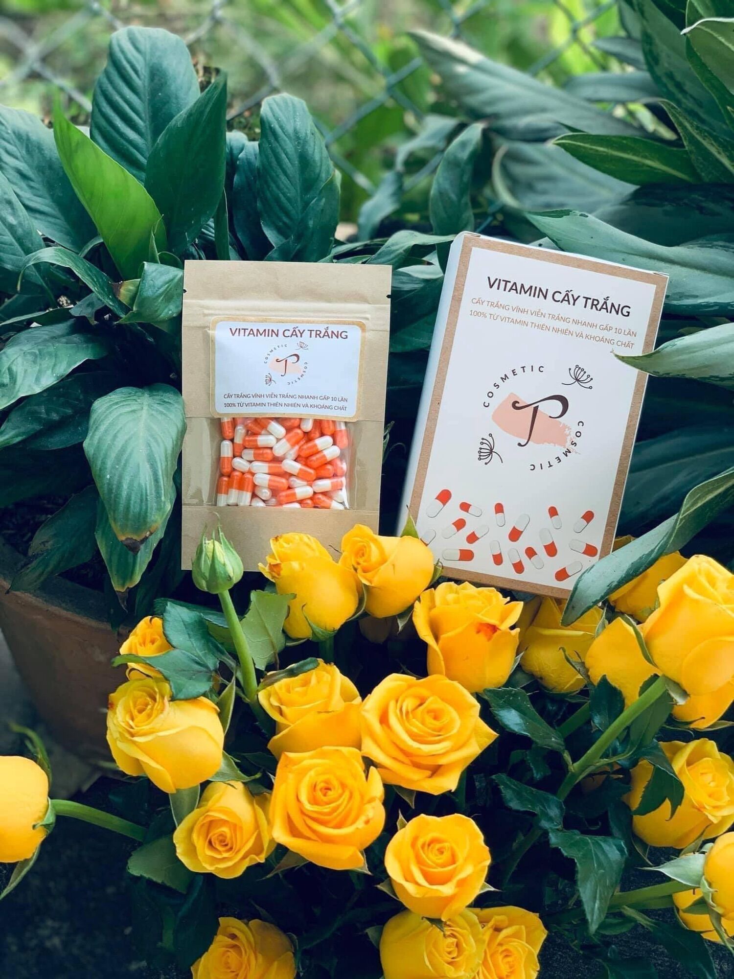 VITAMIN CẤY TRẮNG { combo 10 viên }