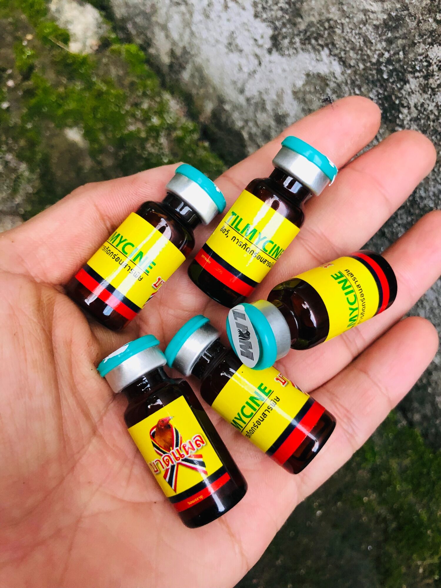 Tilmycine khò khè, khẹt, sổ mũi, sưng phù đầu