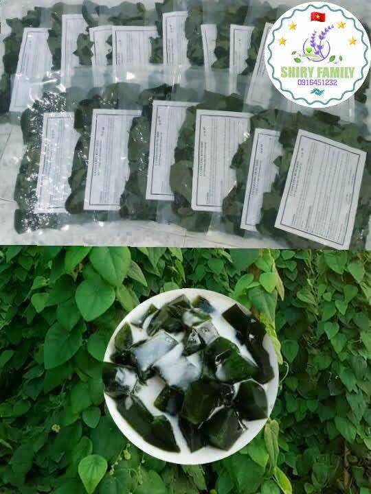 Lá sương sâm lông khô 100g + bột nang mực (hút chân không)
