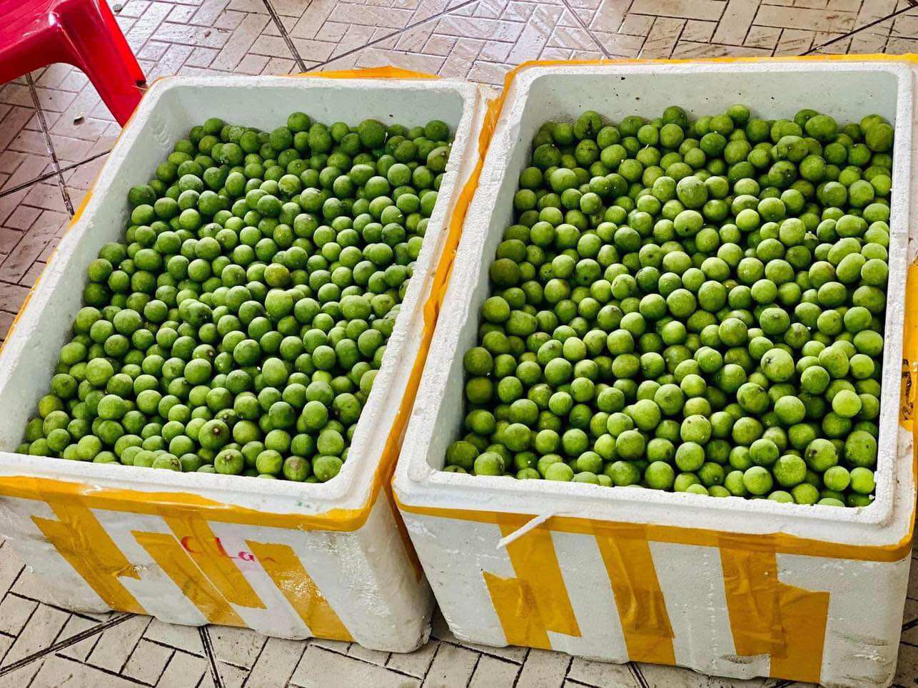 3kg Sấu tươi còn vỏ - chuẩn Hà Nội