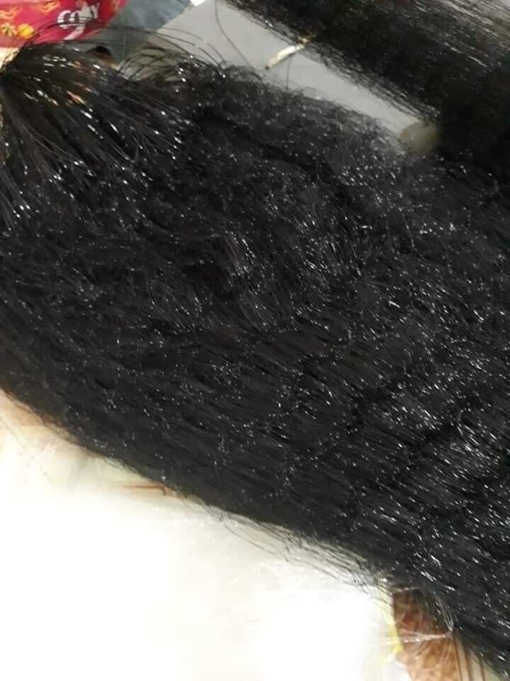 Lưới Chim Cu