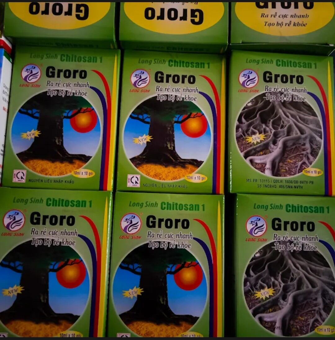 Groro ra rễ cực mạnh combo 10 gói