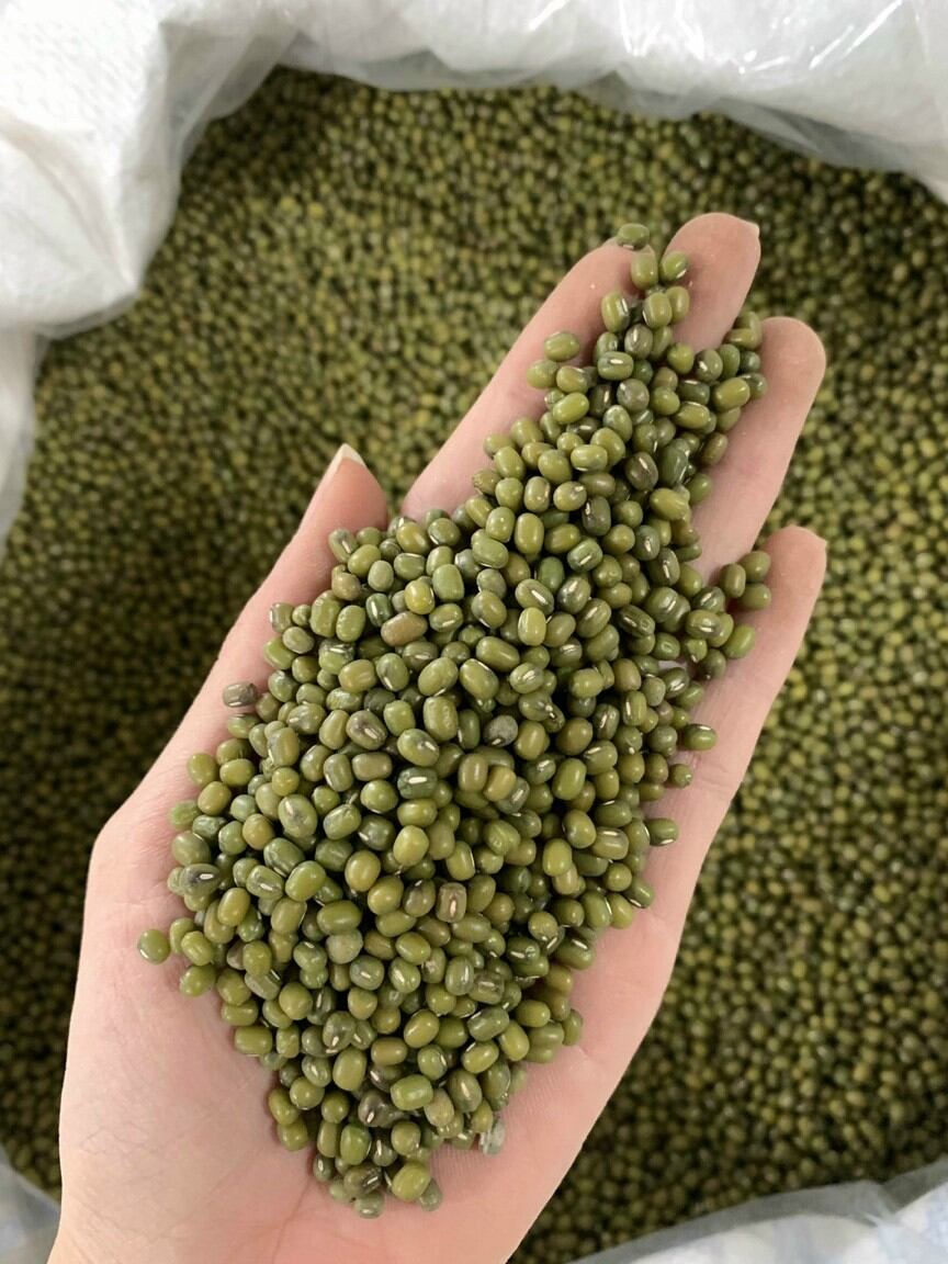 Đậu đen xanh lòng/đậu xanh 1kg