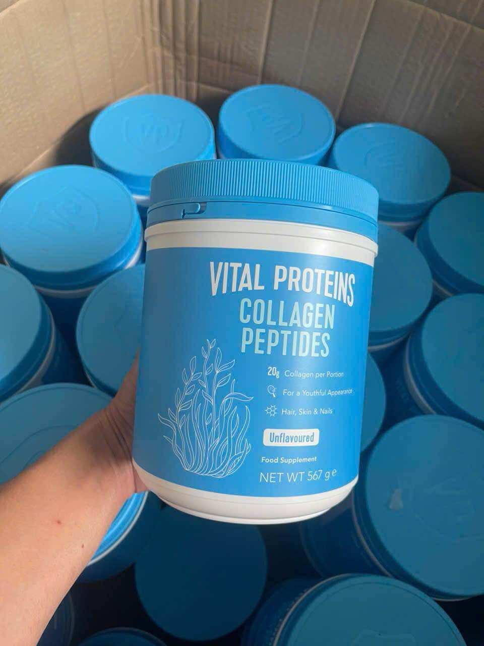 Date 2028-2029 COLLAGEN THỦY PHÂN 𝐕𝐈𝐓𝐀𝐋 𝐏𝐑𝐎𝐓𝐄𝐈𝐍 𝐂𝐎𝐋𝐋𝐀𝐆𝐄𝐍 𝐏𝐄𝐏𝐓𝐈𝐃𝐄𝐒 UNFLAVORED