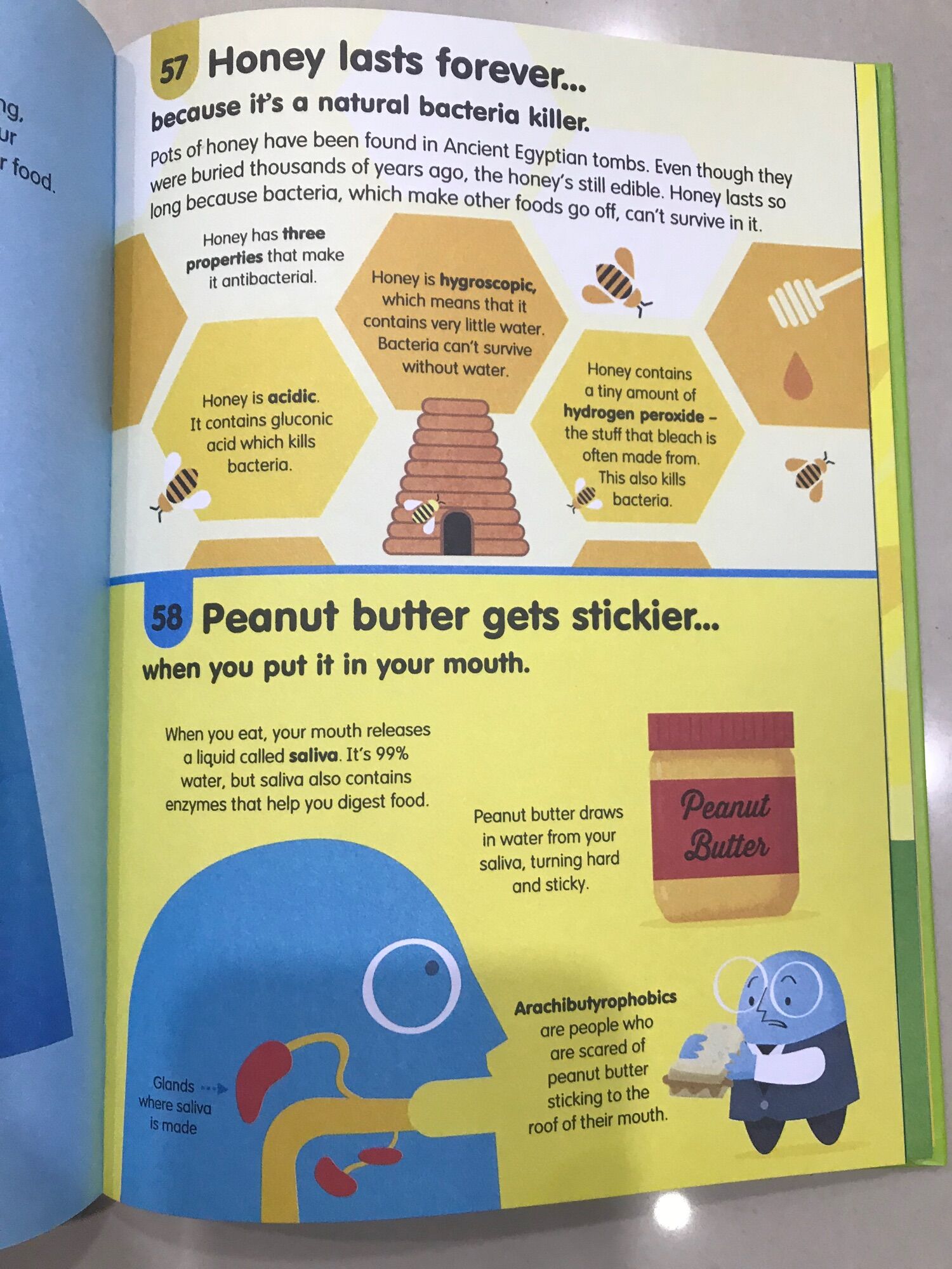 100 things to know about Food