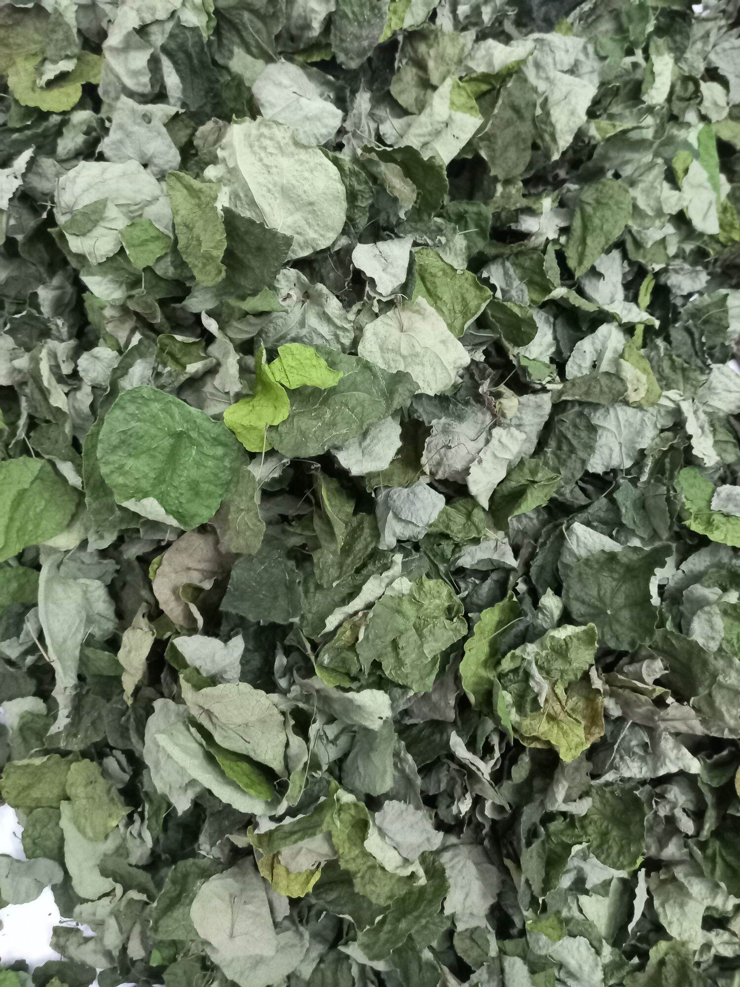 lá sâm lông khô làm Thạch sương sâm( 1Kg )