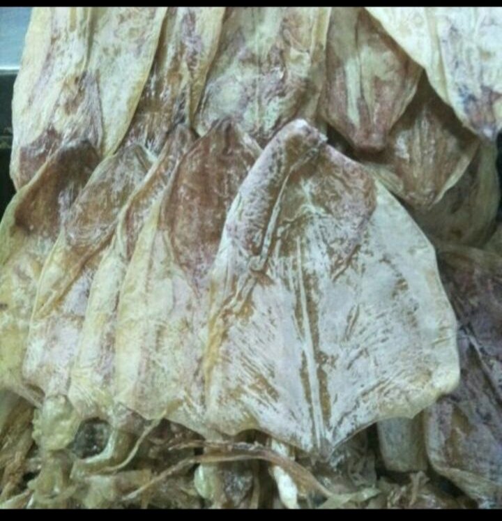 31 con mực mini ngon ngọt y hình