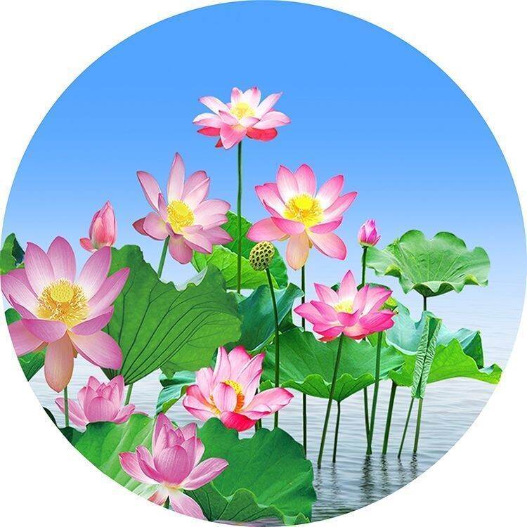 Hình Tròn Hoa Sen Họa Tiết Phong Thủy Tranh Phòng Khách Miếng Dán Trang Trí Mặt Trời Đỏ Trên Bầu Trời Xanh Ao Sen Phong Cách Trung Hoa Thêu