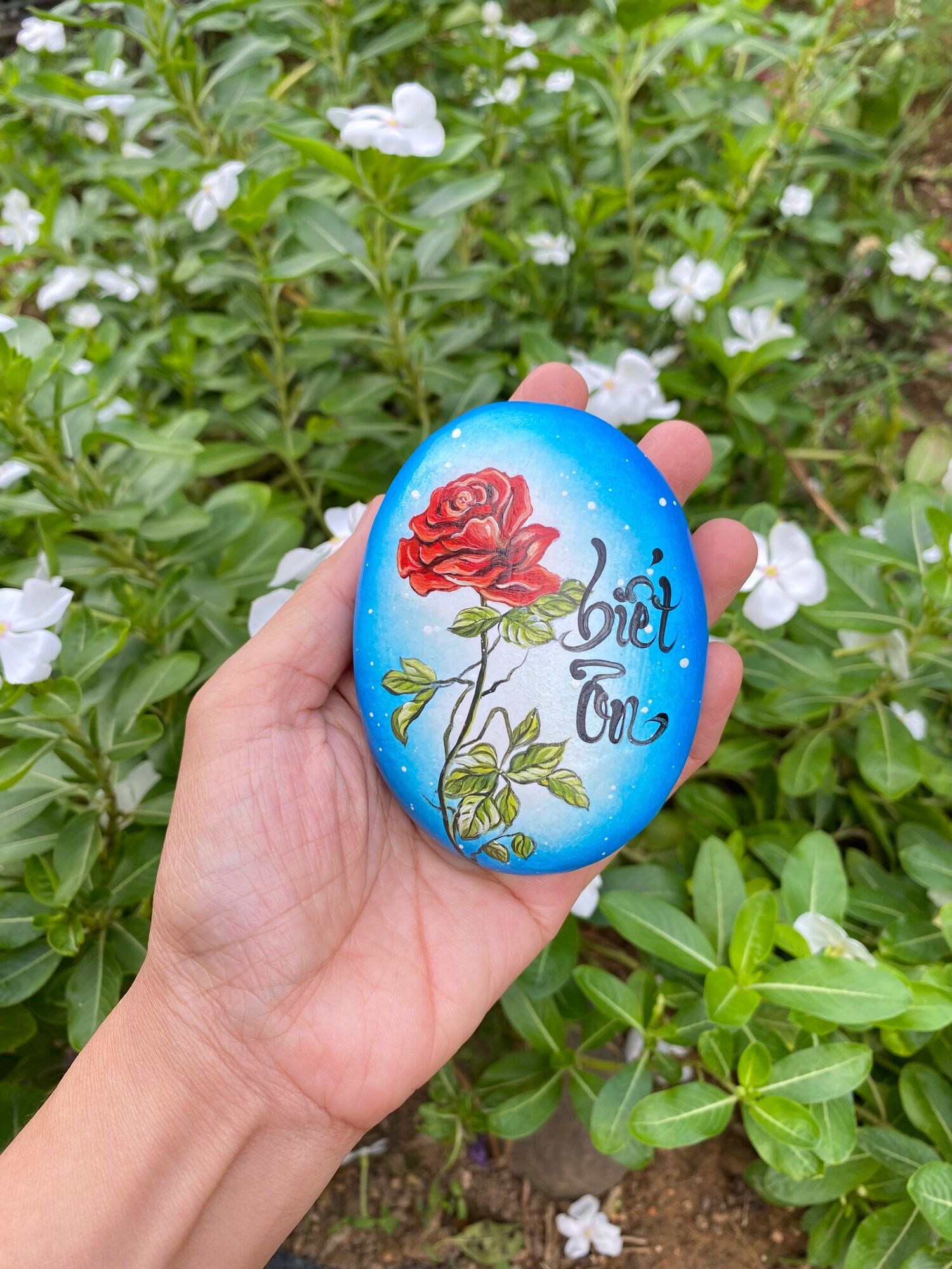 Hòn đá biết ơn mẫu hoa hồng