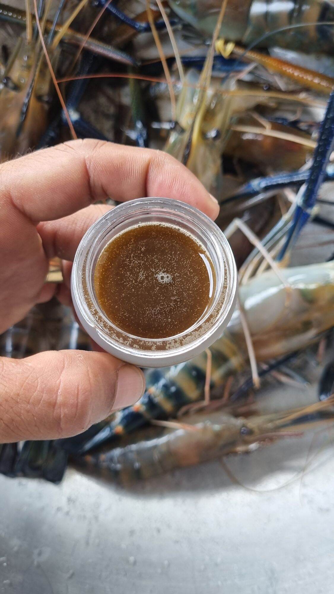 TINH MÙI CÂU TÔM CÀNG XANH 30ml