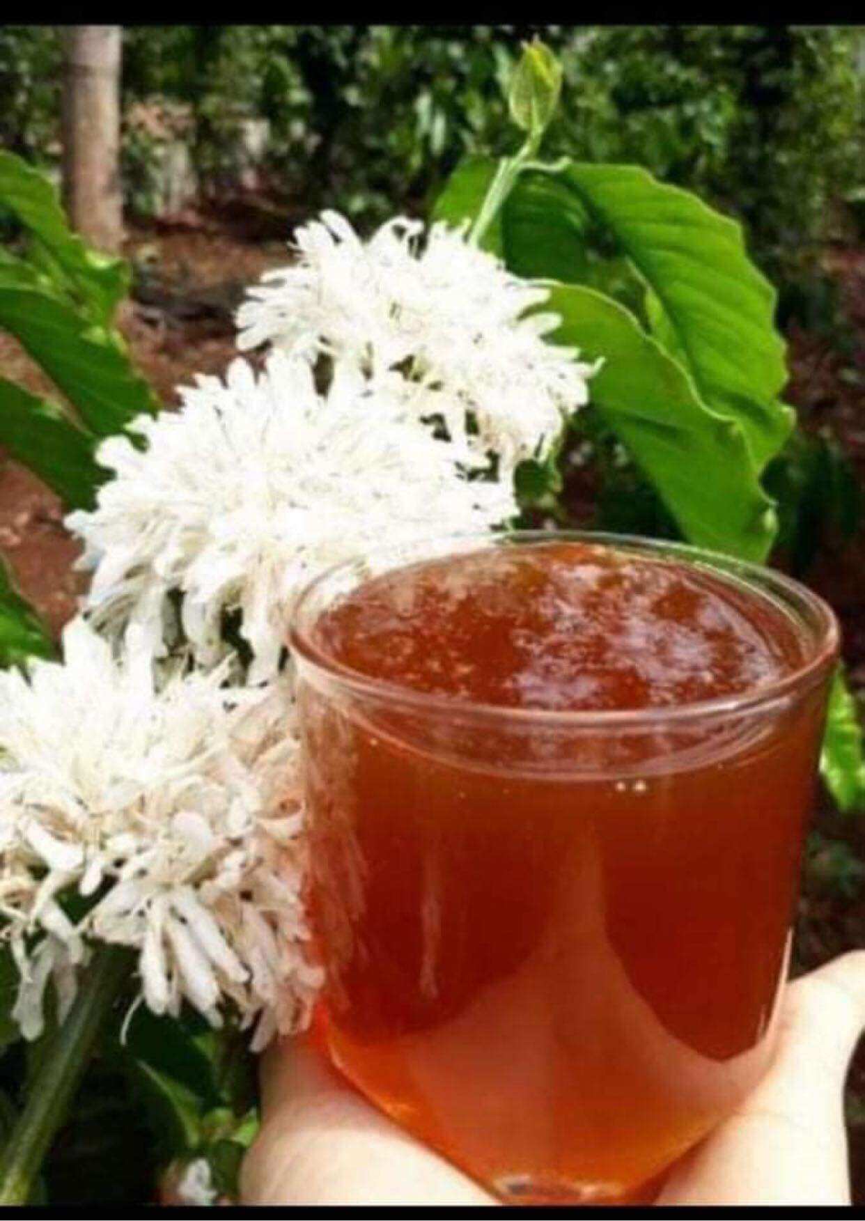 combo 3l mật ong hoa cafe