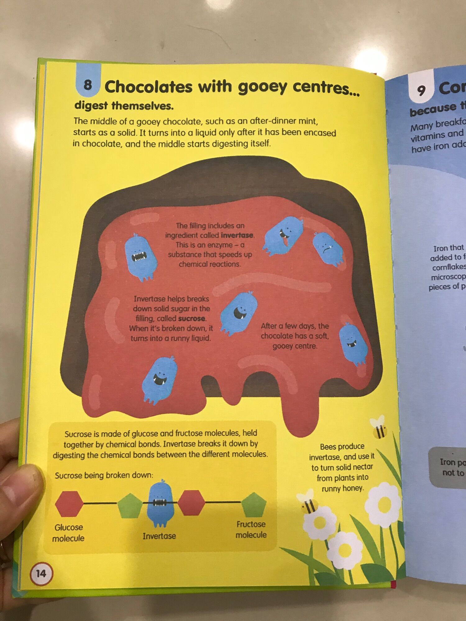 100 things to know about Food