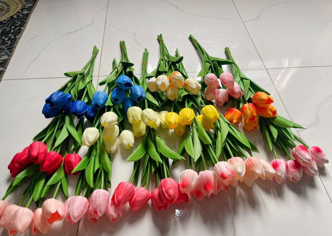 Hoa tulip cao su