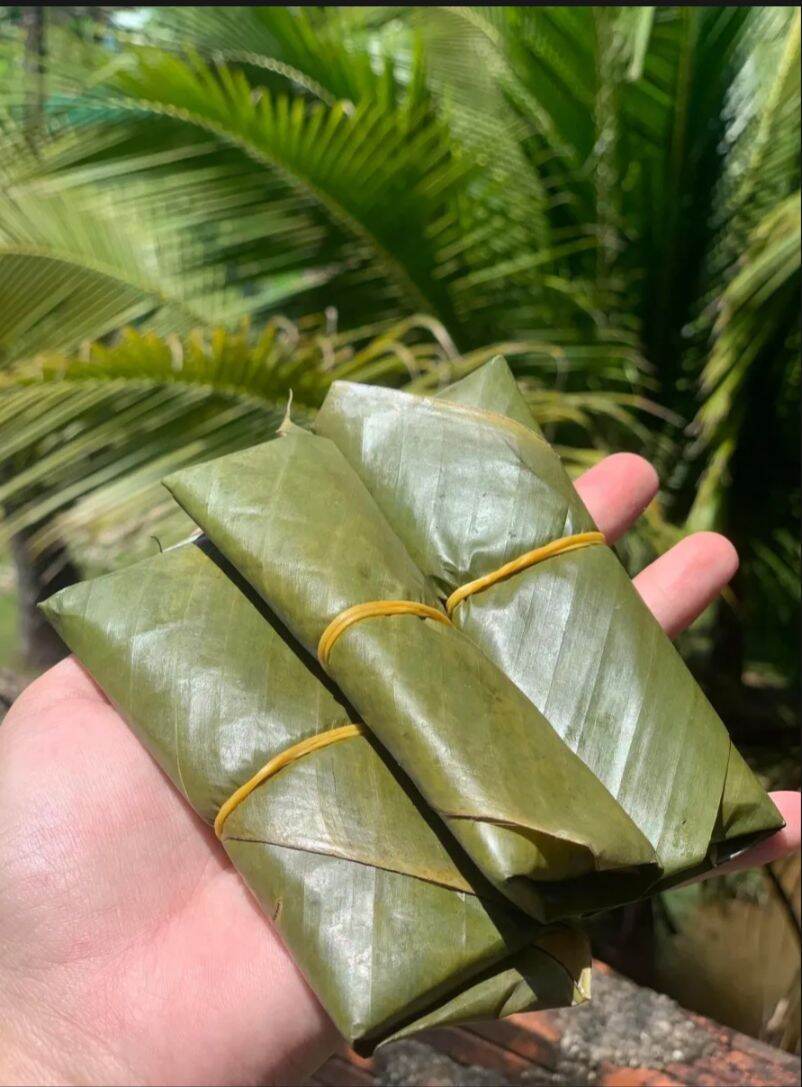 1 CÂY CHẢ BÒ ĐẶC SẢN BÌNH ĐỊNH (1 CAY 0.5 GRAM luôn lá)