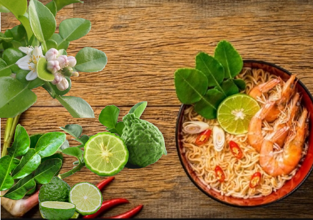 Lá Chúc Tươi ( Chanh Thái) - 1kg