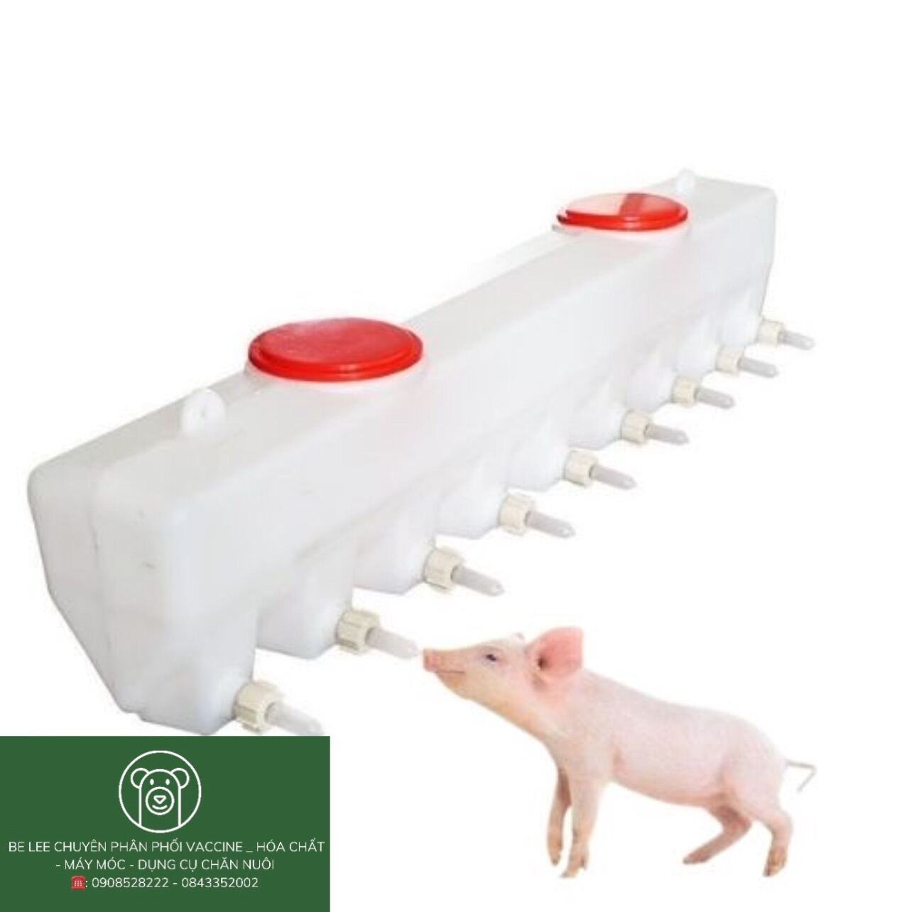 Bình bú sữa heo con, lợn con chất liệu nhựa dung tích 10 lít kèm 12 núm vú