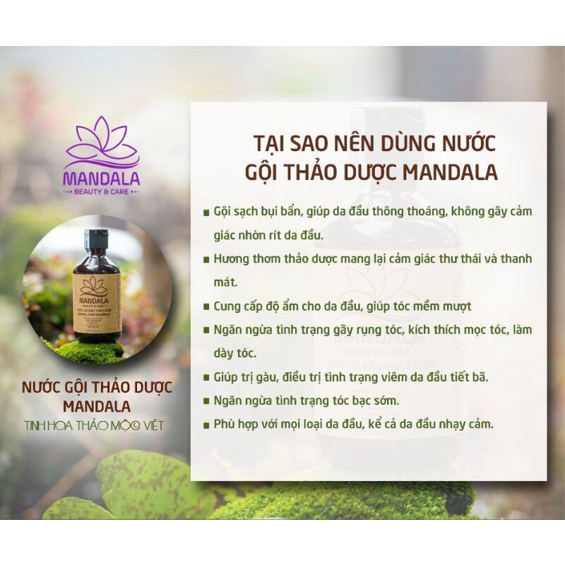 Nước gội mandala nước gội thảo dược chăm sóc tóc mandala
