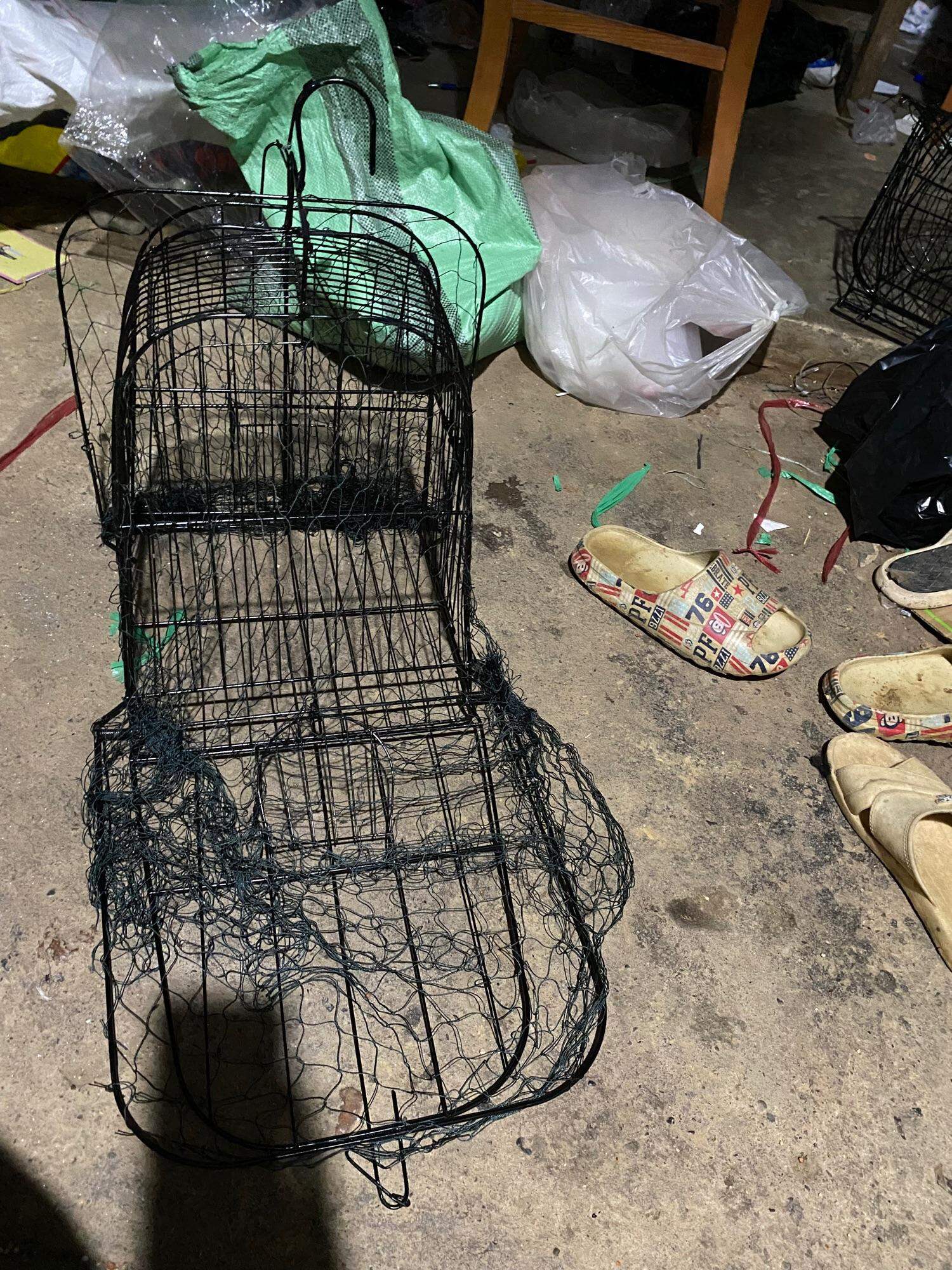 Lụp bẫy chim quốc 2 mặt