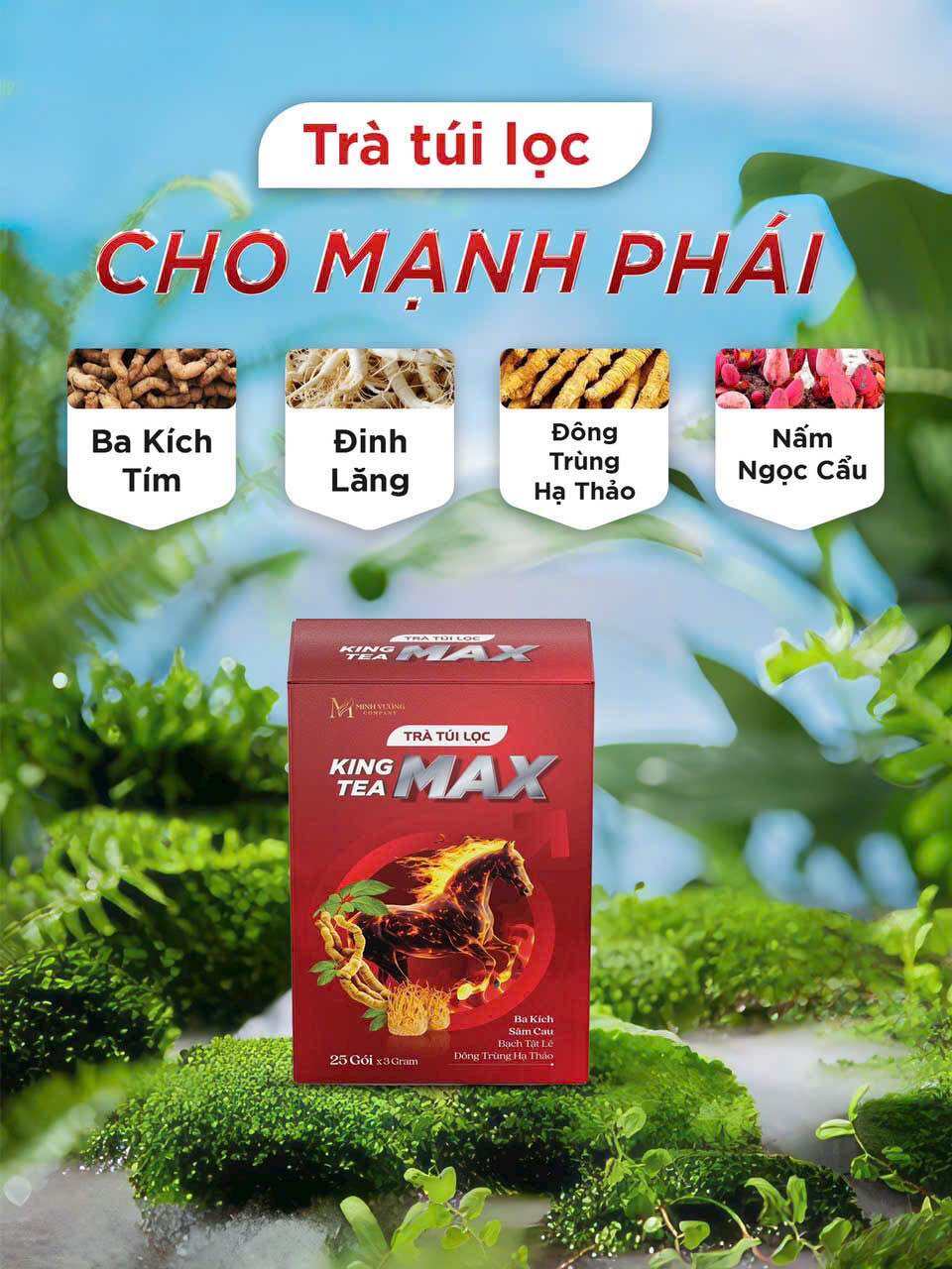 [Freeship HCM] Hộp 25 Gói Trà Túi Lọc Dược Liệu Quý King Tea Max Bổ Thận, Tăng Cường Sinh Lực