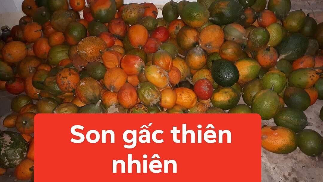 son gấc màu đỏ hồng