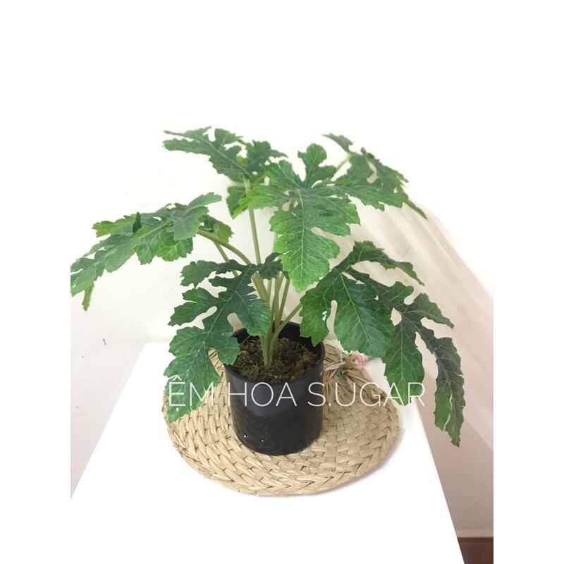 Cây cảnh giả decor cây trang trí