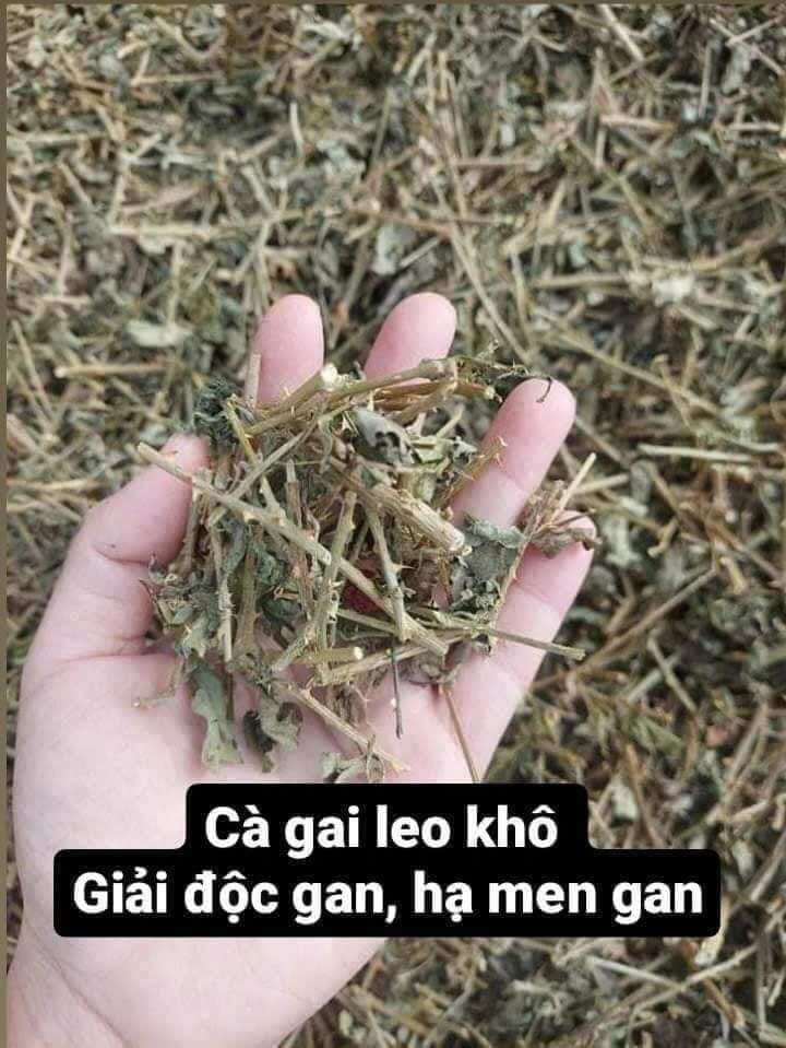 Cà gai leo 1 kg khô sạch