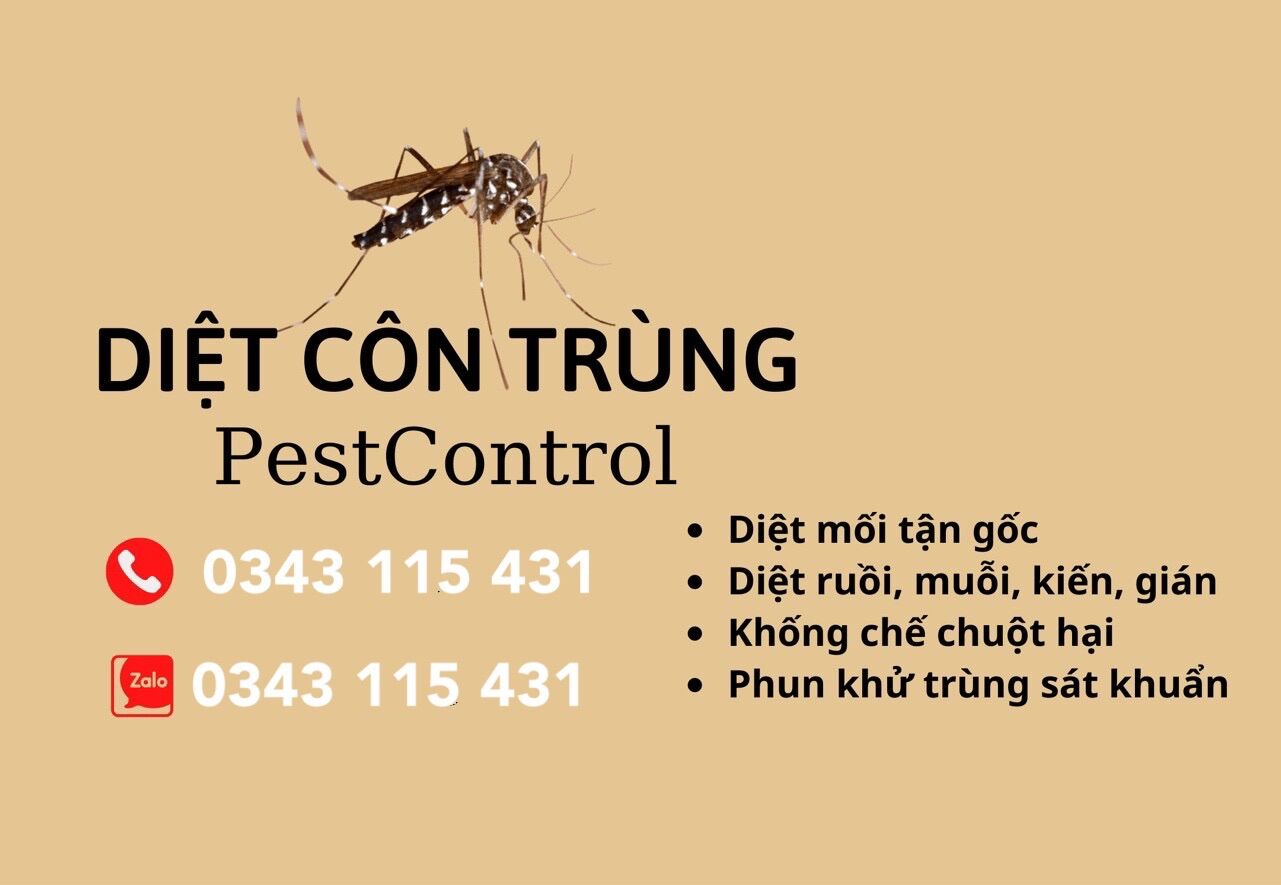 MEN XỬ LÍ BỂ PHỐT DW-97