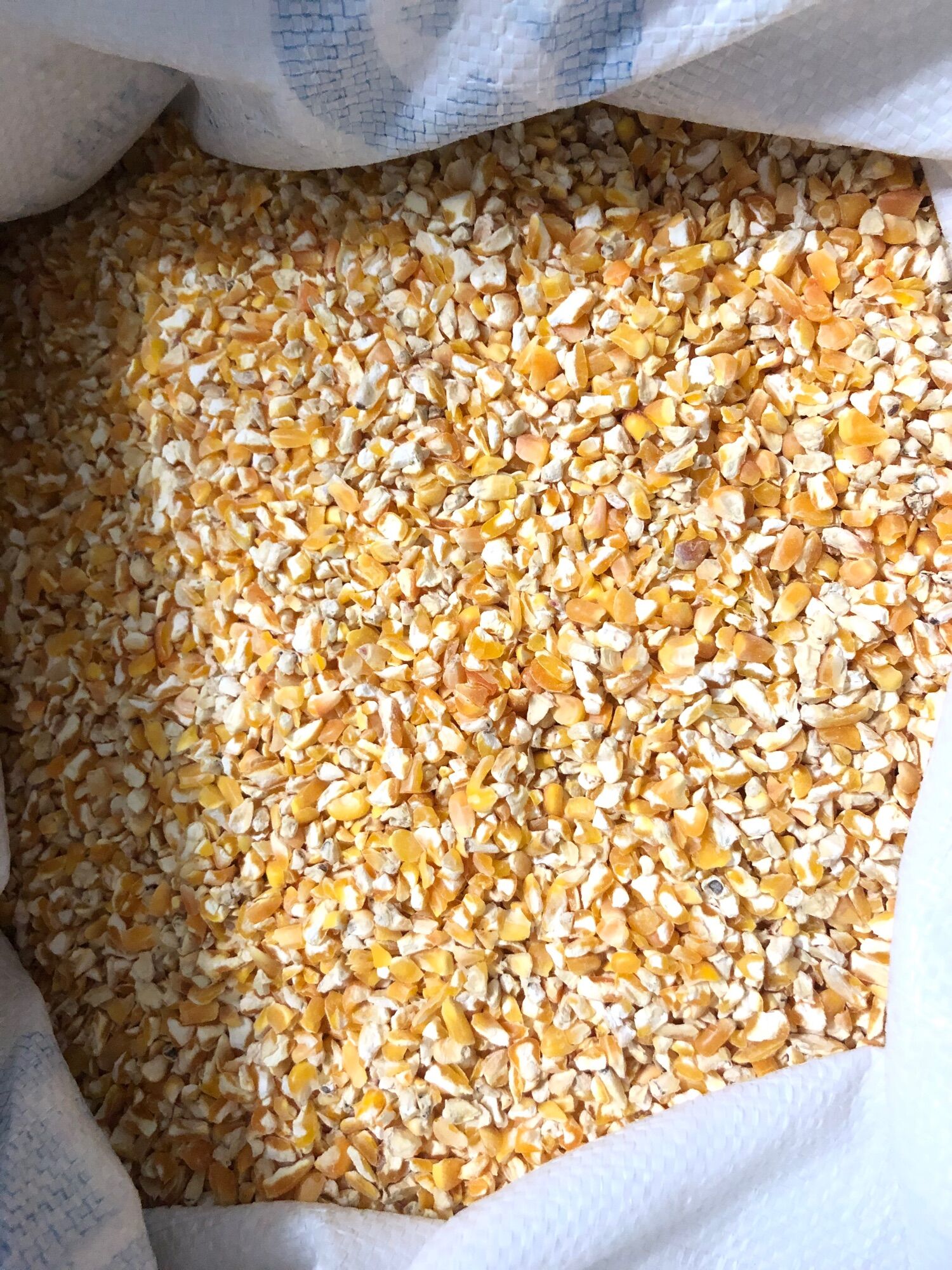 Bắp bể 3 bể 4 1kg
