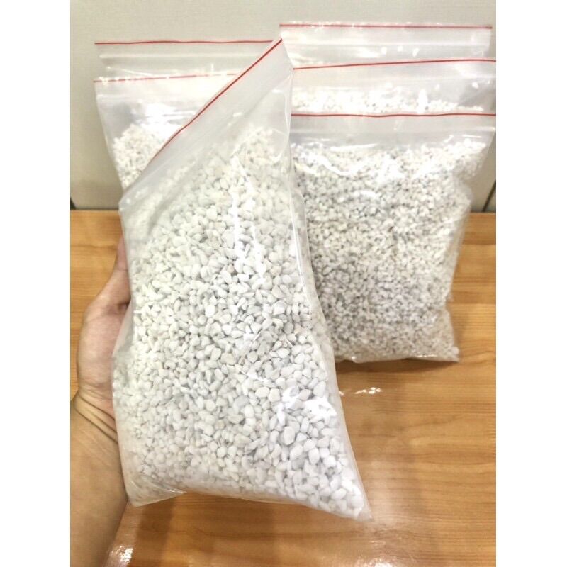 Đất ấp trứng cho bò sát [Hoả Tốc Giao Hàng 2 Giờ ]