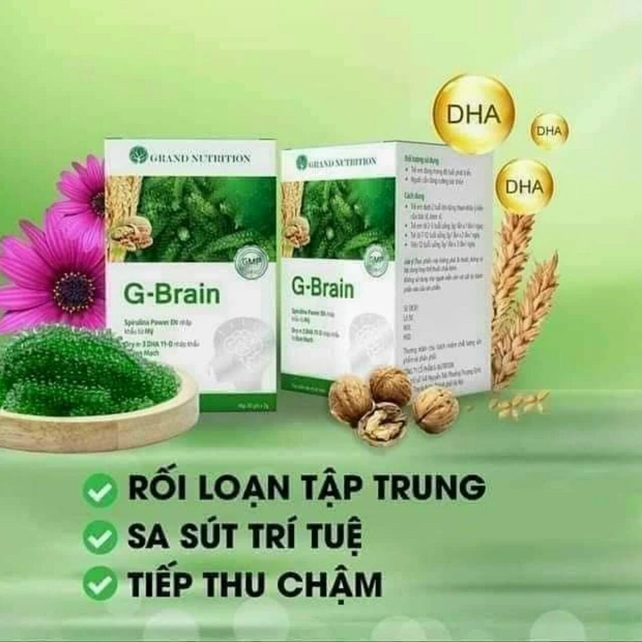Cốm trí não gbrain